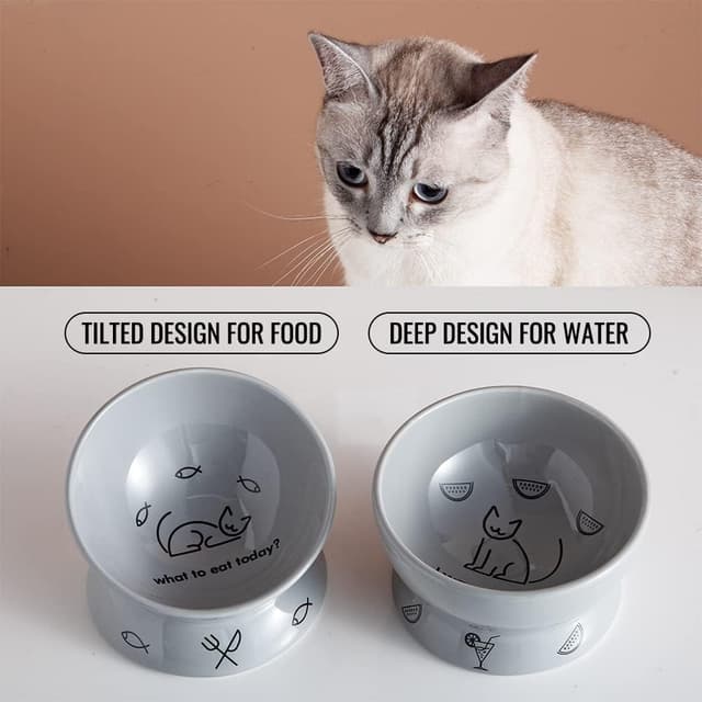 Detalle 2 de Sweejar Home Raised Cat Bowls Set (Tilted Food Bowl & Deep Water Bowl) – Ceramic, Set of 2, Gray
