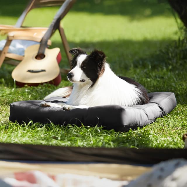 Thumbnail 6 de BEDSURE Hundebett groß (XL) 91×68 cm – waschbar, gepolstert, selbstkühlende Kühlmatte, tiefschwarz