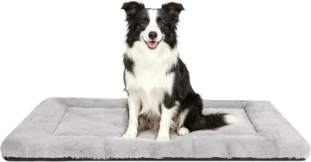 Detalle de Baodan Dog Bed Large 90x60 cm cushion