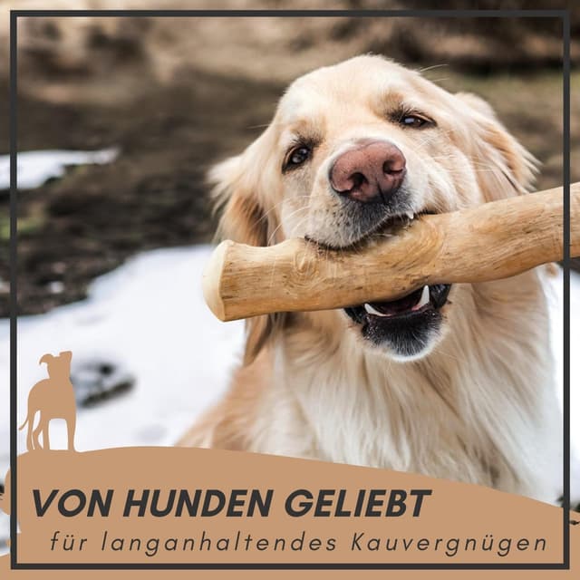 Detalle de Supravit natürlicher Kauknochen aus Kaffeeholz für Hunde (Kaffeebaum-Holz) – M