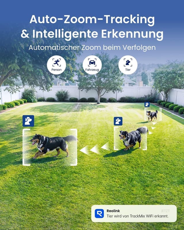 Detalle de Reolink 4K 8MP Wi‑Fi 6 PTZ Outdoor-Überwachungskamera mit Dual-Objektiv, Auto-Tracking und 30 m Farbnachtsicht