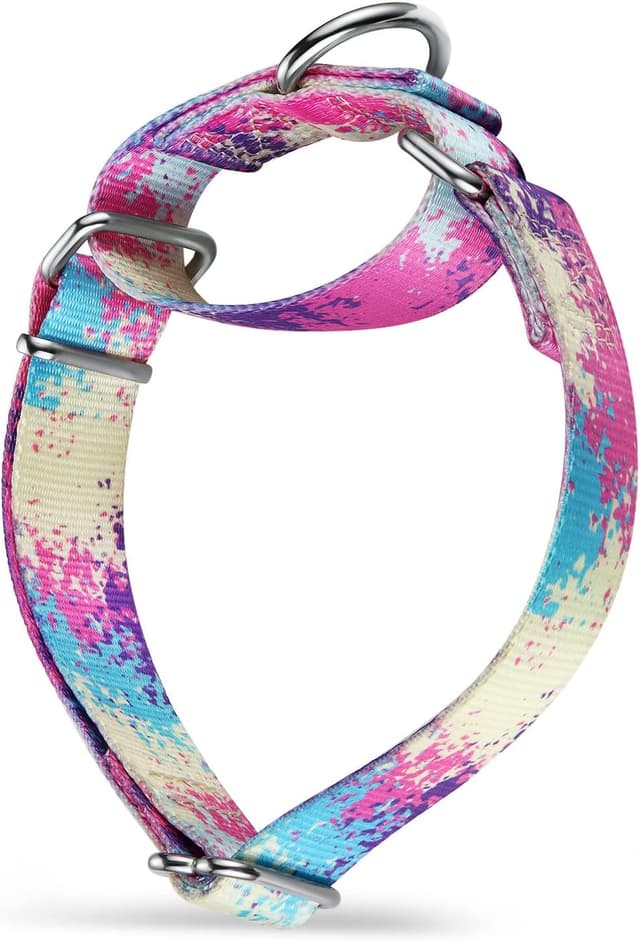 Imagen de Dazzber Martingale Collar 2.5cm Wide en OfertitasTOP