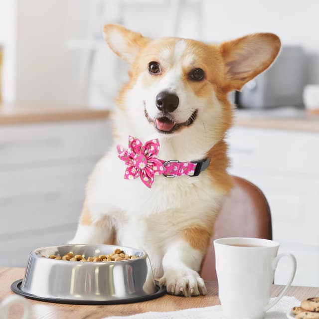 Detalle de BiPawTi Medium Pink Flower Dog Collar with Bloom Decoration (Pink, M)