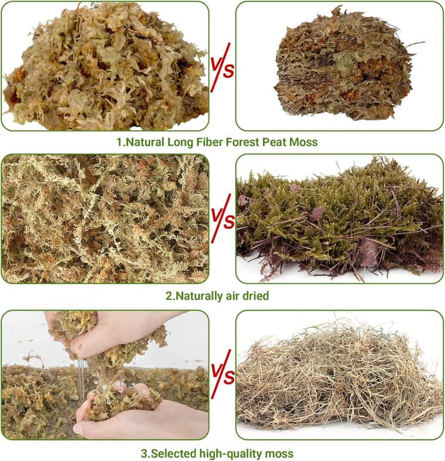 Thumbnail 5 de 200g Sphagnum Moos für Orchideen 200g