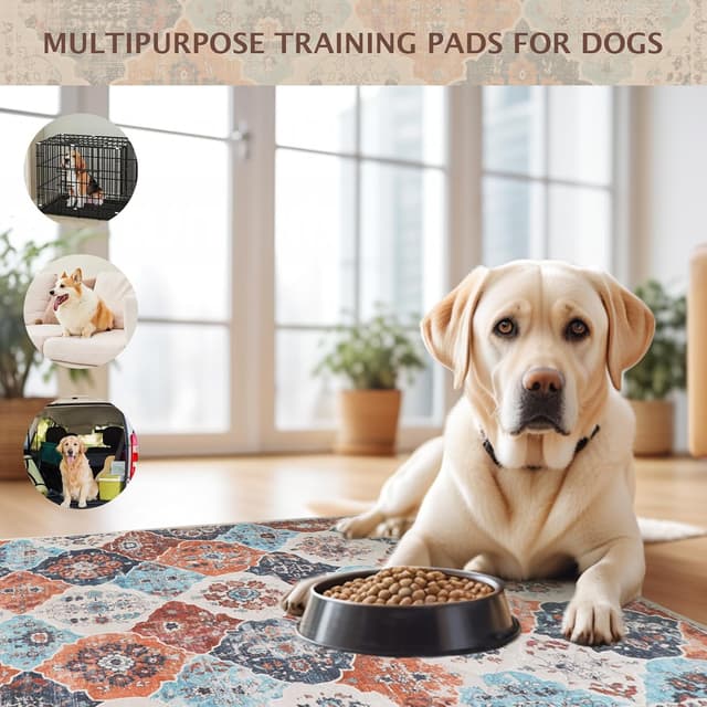 Thumbnail 2 de IEUUMLER Empapadores perros reutilizables 180x180