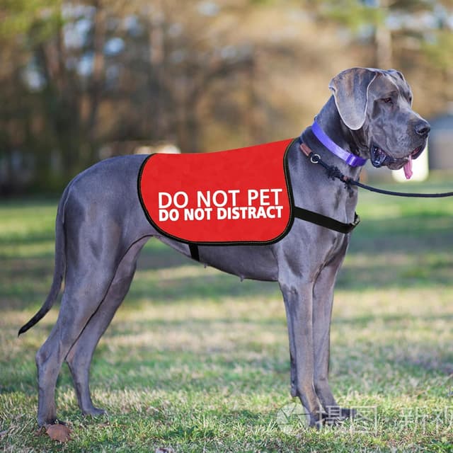 Detalle de Do Not Pet Do Not Distract Dog Jacket Vest (PET DISTRACT L) – Service/Working Dog Warning Slogan Vest