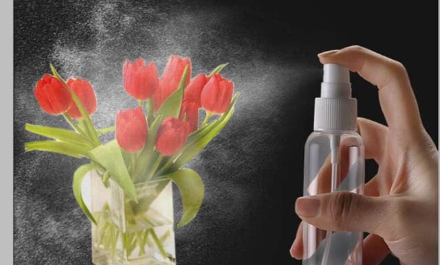 Detalle 2 de JamHooDirect 4-pack 100ml fine mist spray bottles for travel (refillable, leak-proof) with 2 funnels and stickers