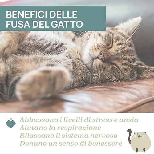 Thumbnail 3 de Chicco Gatito Ronroneador 🎹 Peluche Interactivo Suave, Lavable