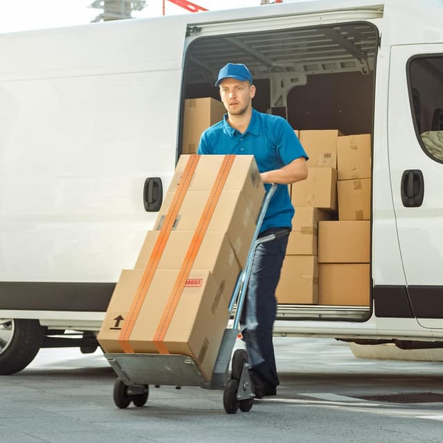 Thumbnail 6 de Spanngurte mit Ratsche 4m