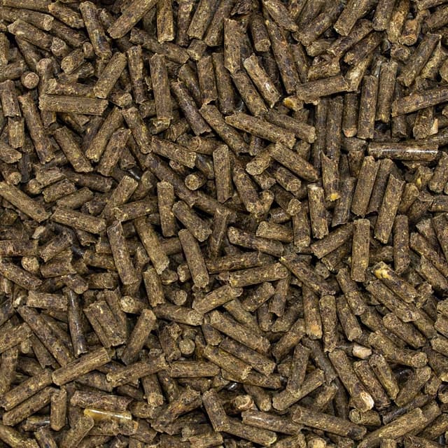 Detalle 2 de Speed Electrolyte Boost 1.500 g für Pferde