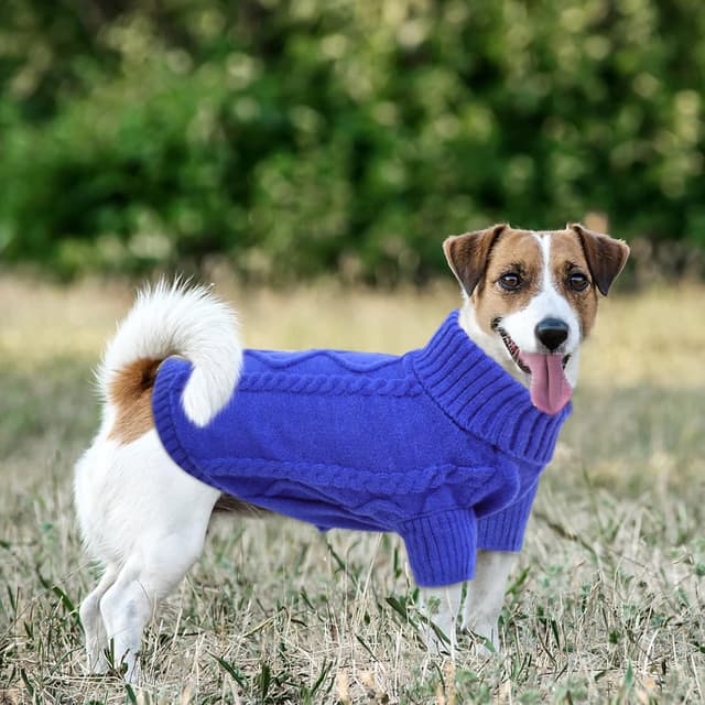 Detalle 2 de Queenmore Small Dachshund Jumper Knitting Dog Jumper Turtleneck (Blue, XS)