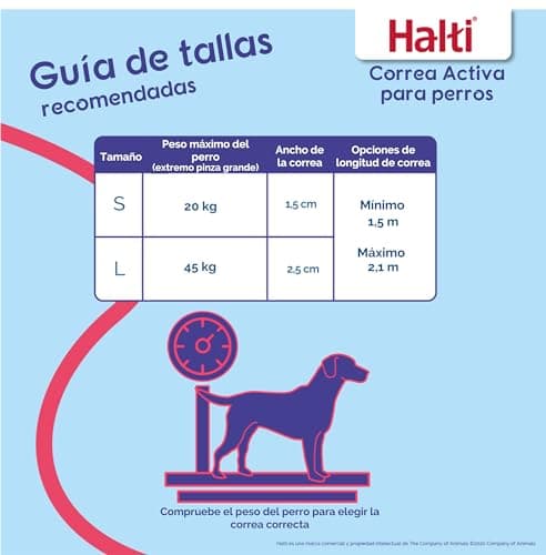 Thumbnail 5 de HALTI Correa Activa talla L, manos libres, reflectante 🐕