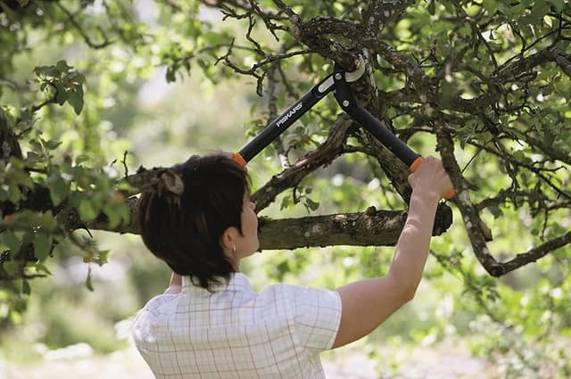 Thumbnail 1 de Fiskars L70 Podadera PowerGear 45 cm, 3,8 cm