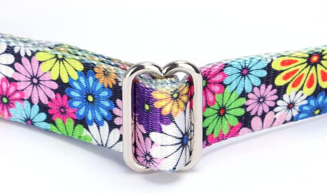 Detalle 1 de Collare martingala Haoyueer XL 53-62 cm