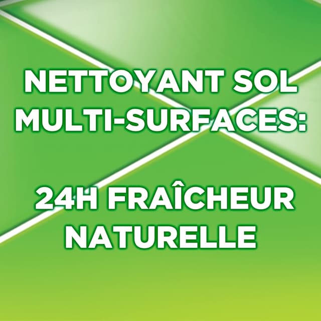 Thumbnail 5 de AJAX Nettoyant Multi Surfaces Fête des Fleurs ⚙