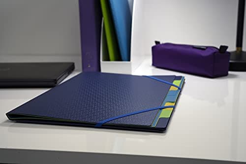 Detalle 2 de Exacompta 206213 Clasificador de polipropileno azul