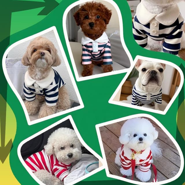 Thumbnail 4 de AgoumLux Hundeshirt Rosa XL