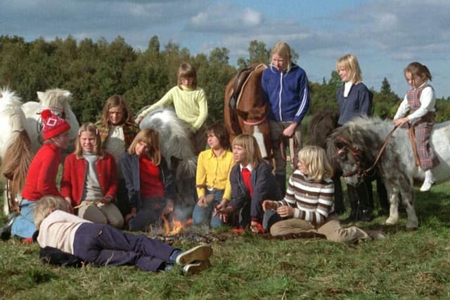 Thumbnail 5 de Originalfilme Immenhof 3 DVDs