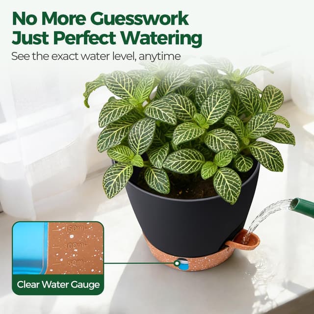 Thumbnail 5 de T4u T4U 15cm Self Watering Plant Pot 15cm