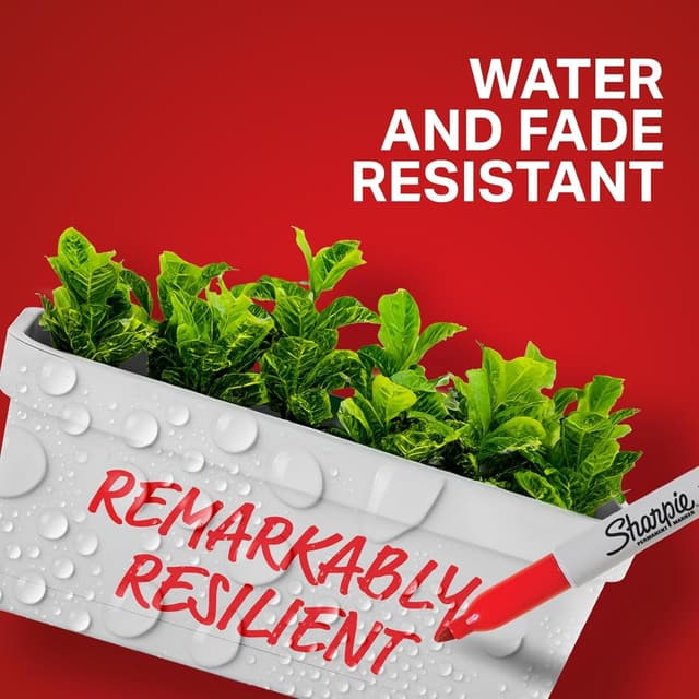 Detalle 2 de Sharpie Permanent Markers Red ink 12 pack