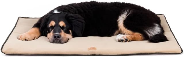 Detalle de Ferplast Jolly Microfleece Lit pour Chien Grand double face anti-rayures et imperméable – Marron