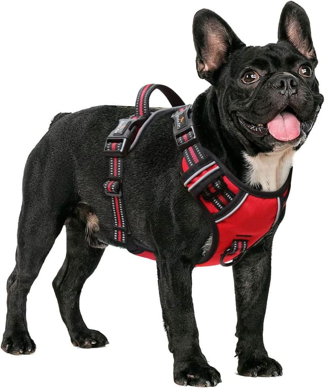 Detalle de HEELE Harnais pour chien anti-traction réfléchissant rouge avec poignée rembourrée – Taille M