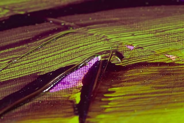 Thumbnail 2 de Liquitex Professional Líquido para veladuras 237 ml 🖌️