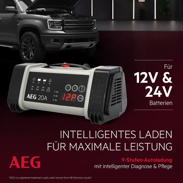 Detalle 2 de AEG LT 20 Batterieladegerät 20 A 🔌