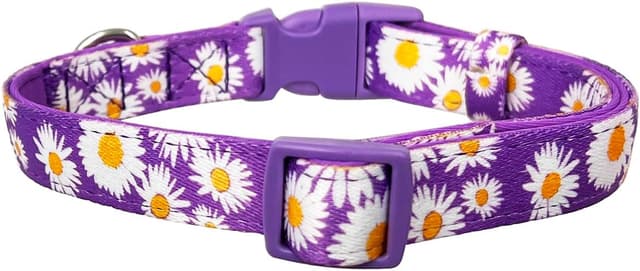 Detalle de Olahibi Basic Dog Collar (L, Purple Daisy) — polyester webbing padded with soft neoprene
