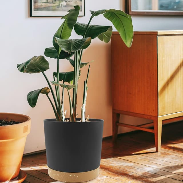 Detalle 1 de QCQHDU 25.4cm plant pots, 2 pack