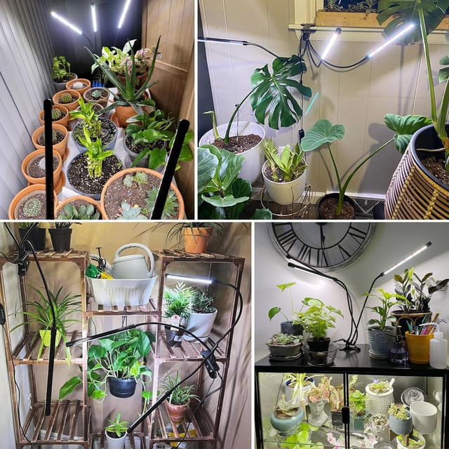 Thumbnail 6 de wolezek Grow Lights for Indoor Plants (3 Heads) 6000K Full Spectrum LED with Auto Timer and Dimming