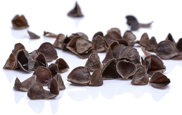 Thumbnail 6 de BODYMATE cuscino da yoga rotondo 31 cm