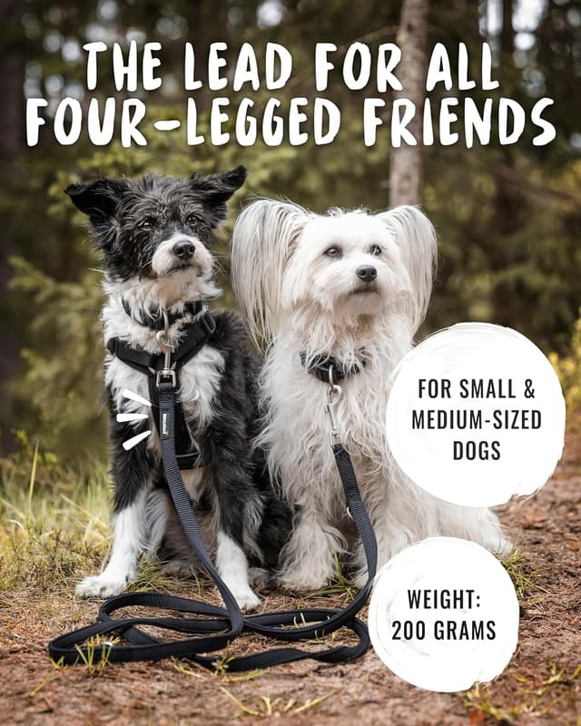 Detalle de Rudelkönig Guinzaglio addestramento 2,30 m