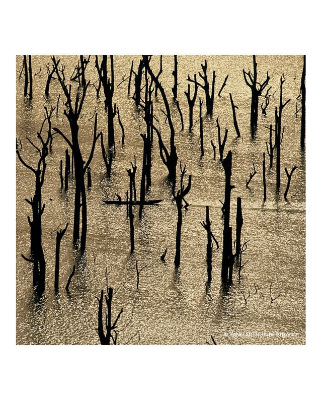 Thumbnail 4 de Guerlain Recarga Eau de Parfum Aqua Allegoria Forte Nerolia Vetiver 200 ml