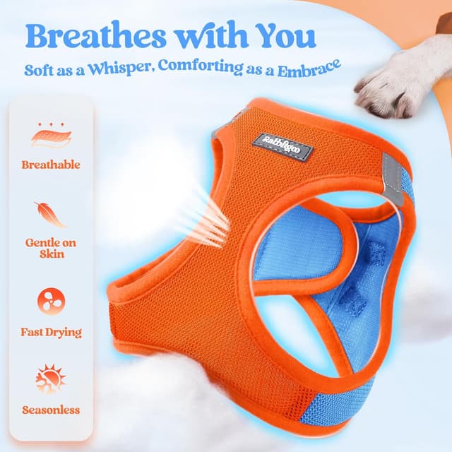 Detalle 2 de rabbitgoo Step-in Soft Mesh Dog Harness & Leash Set (Blue & Orange) – Small Size S