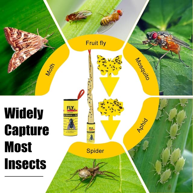 Detalle de 50 Pack Fly Catcher (30 Fly Strips + 20 Fungus Gnat Killer) TRllTECH for indoor and outdoor use