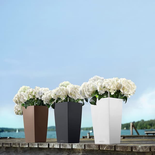 Thumbnail 5 de Lechuza Cubico Color 22 Schiefergrau