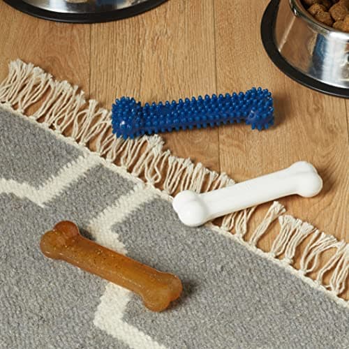 Detalle 2 de Nylabone Puppy Starter Kit: kit inicial para cachorros