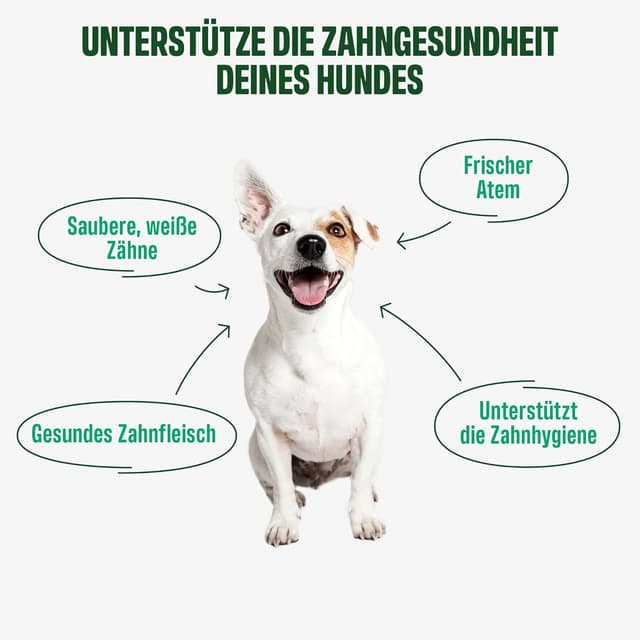 Detalle de ivvi Dental Zahnhygiene-Snacks 60 Stück