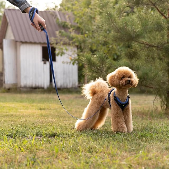 Imagen de Ferplast ERGOCOMFORT G15/120 Correa para Perros, Azul 🐾 en OfertitasTOP