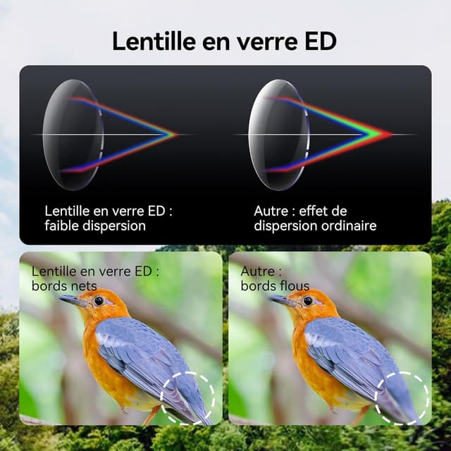 Detalle de Svbony SV202 Upgraded 8x32 ED : jumelles étanches FMC pour l’observation des oiseaux