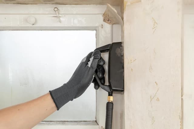 Detalle de Wagner SteamForce Speed Pro décolleuse à papier peint à vapeur