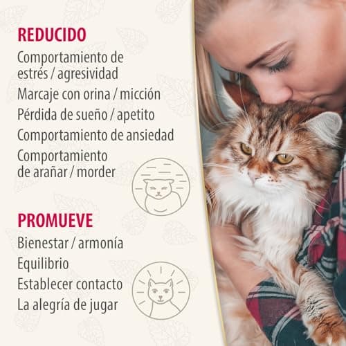 Thumbnail 5 de Felisept Home Comfort set difusor y recambio 45 ml 🐱