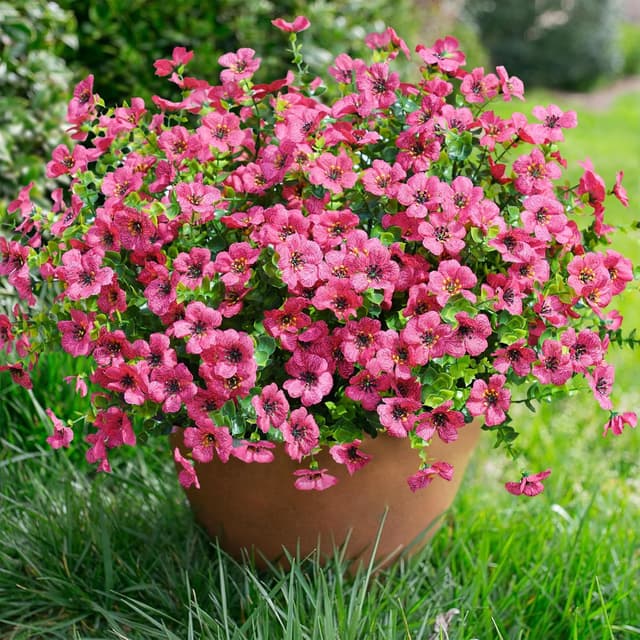 Thumbnail 6 de florisso Artificial Outdoor Daisy Flowers (12 Bundles) with UV-Resistant Eucalyptus Leaves