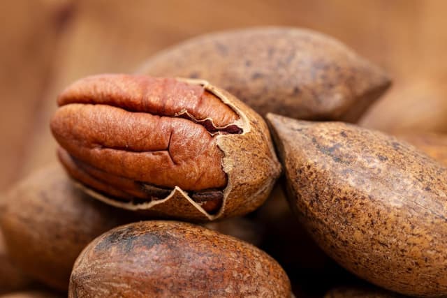 Thumbnail 5 de Mundo Feliz Pecanas Ecológicas - Pack de 5 x 100 g 🌰