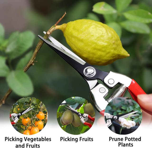 Thumbnail 5 de Kynup Garden Secateurs 3-Piece Set