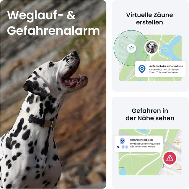 Detalle 2 de Tractive 2025 Edition GPS Tracker Hund