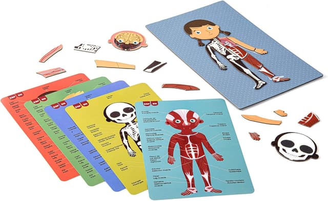 Detalle 2 de APLI Kids 18531 Juego Magnético Educativo Cuerpo Humano