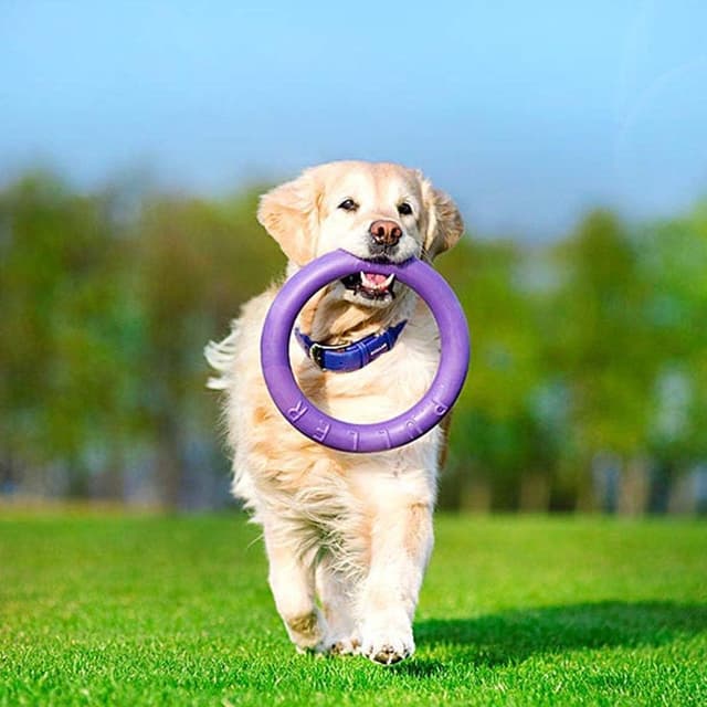 Thumbnail 5 de Ferplast Puller Standard anelli addestramento per cani 2 pezzi