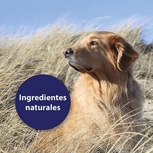 Detalle de Canosept Spray cuidado de la piel y pelaje para perros y gatos (250 ml)